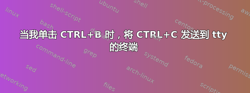 当我单击 CTRL+B 时，将 CTRL+C 发送到 tty 的终端