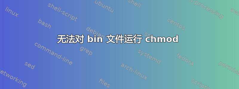 无法对 bin 文件运行 chmod