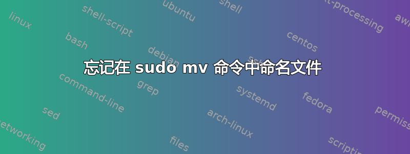 忘记在 sudo mv 命令中命名文件