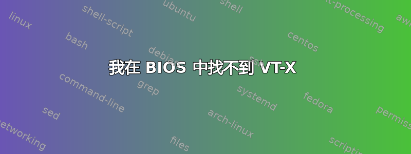 我在 BIOS 中找不到 VT-X