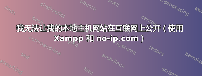 我无法让我的本地主机网站在互联网上公开（使用 Xampp 和 no-ip.com）