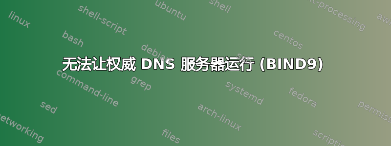 无法让权威 DNS 服务器运行 (BIND9)