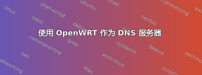 使用 OpenWRT 作为 DNS 服务器