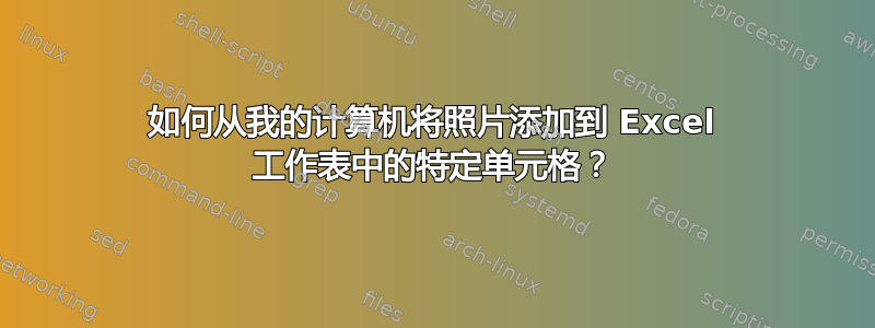 如何从我的计算机将照片添加到 Excel 工作表中的特定单元格？