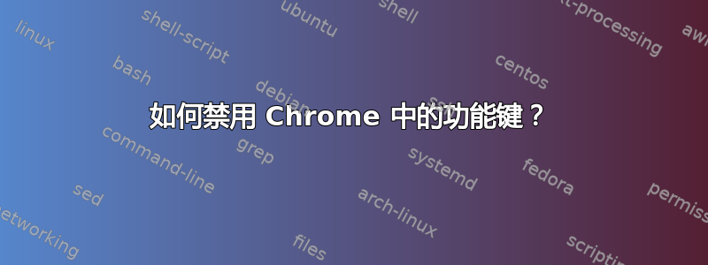 如何禁用 Chrome 中的功能键？