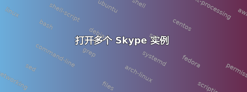 打开多个 Skype 实例