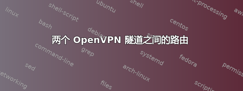 两个 OpenVPN 隧道之间的路由