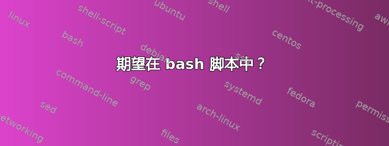 期望在 bash 脚本中？