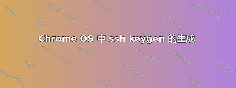 Chrome OS 中 ssh keygen 的生成