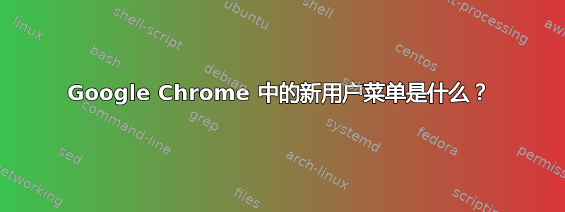 Google Chrome 中的新用户菜单是什么？