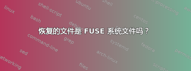 恢复的文件是 FUSE 系统文件吗？