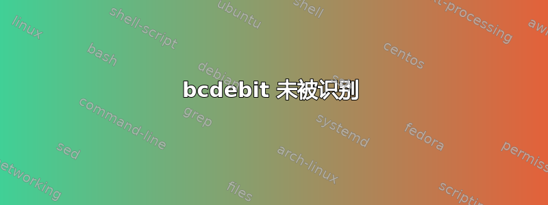 bcdebit 未被识别