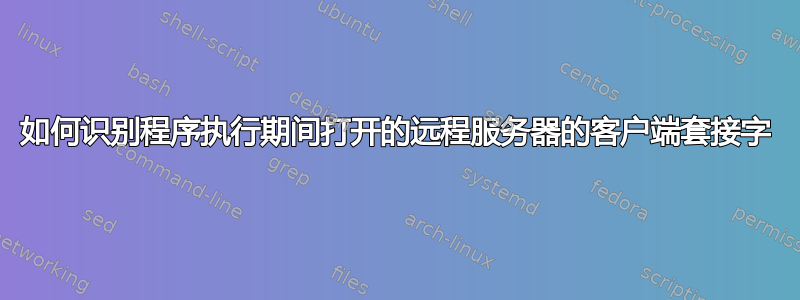 如何识别程序执行期间打开的远程服务器的客户端套接字