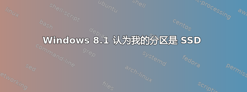 Windows 8.1 认为我的分区是 SSD