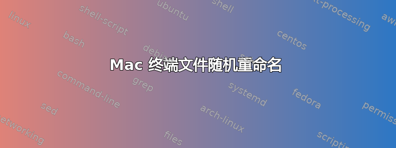 Mac 终端文件随机重命名