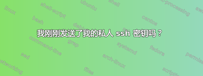 我刚刚发送了我的私人 ssh 密钥吗？