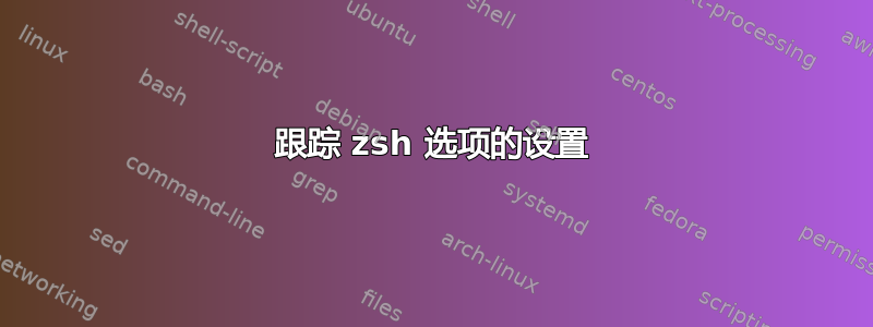 跟踪 zsh 选项的设置