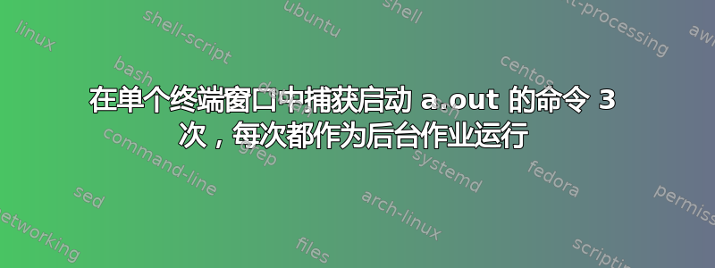 在单个终端窗口中捕获启动 a.out 的命令 3 次，每次都作为后台作业运行