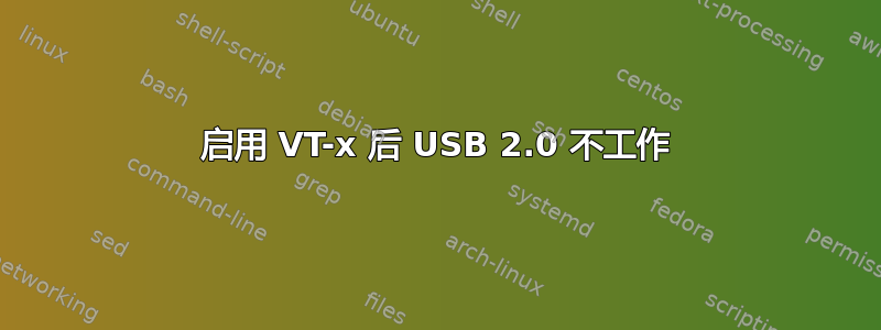 启用 VT-x 后 USB 2.0 不工作