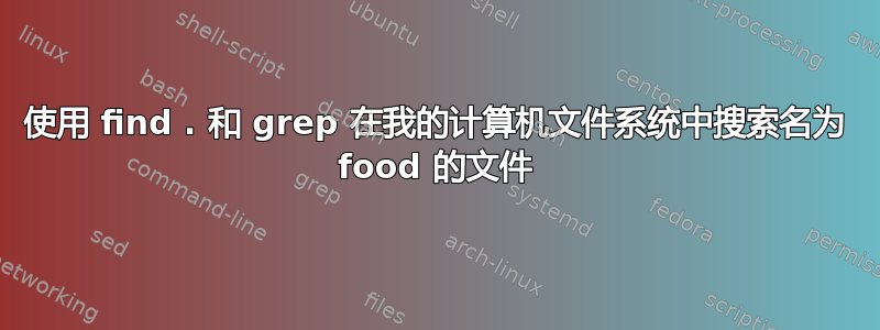 使用 find . 和 grep 在我的计算机文件系统中搜索名为 food 的文件