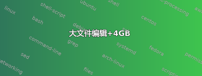 大文件编辑+4GB