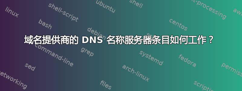 域名提供商的 DNS 名称服务器条目如何工作？