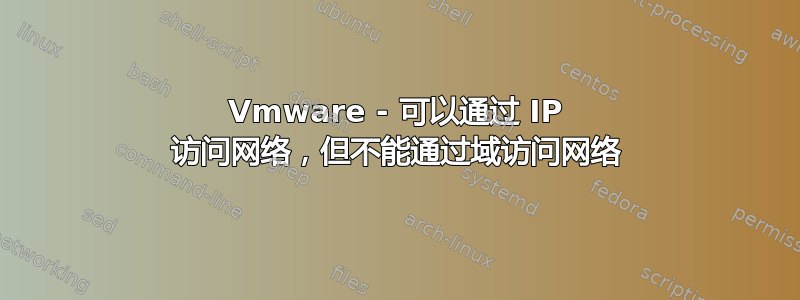 Vmware - 可以通过 IP 访问网络，但不能通过域访问网络