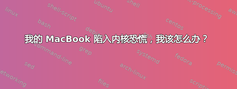 我的 MacBook 陷入内核恐慌，我该怎么办？