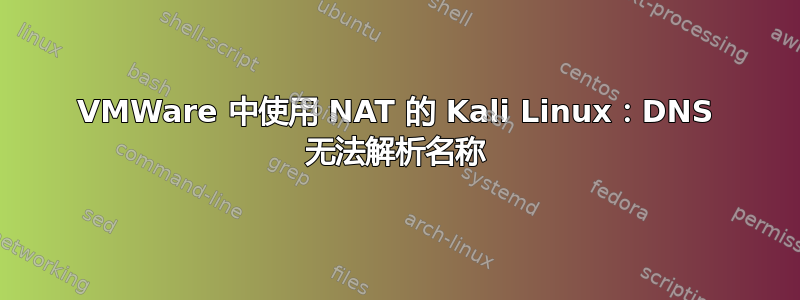 VMWare 中使用 NAT 的 Kali Linux：DNS 无法解析名称