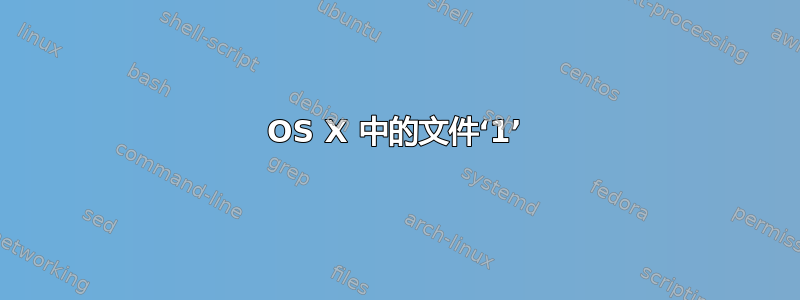 OS X 中的文件‘1’