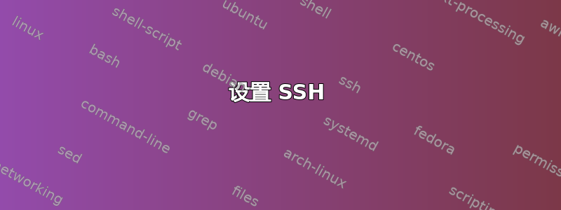 设置 SSH