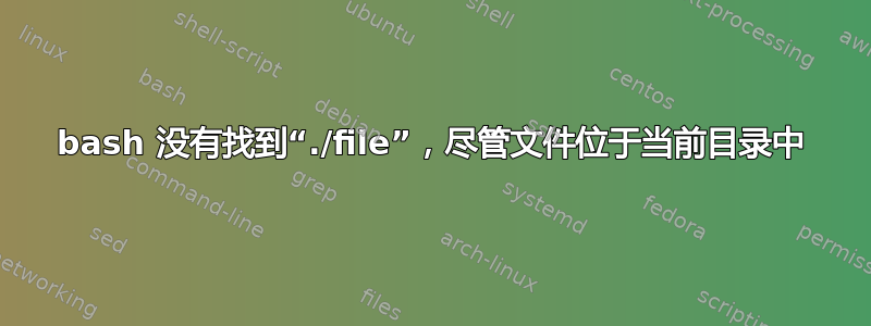 bash 没有找到“./file”，尽管文件位于当前目录中