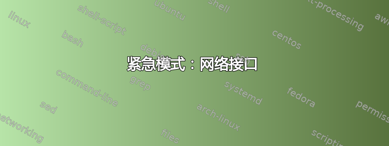 紧急模式：网络接口