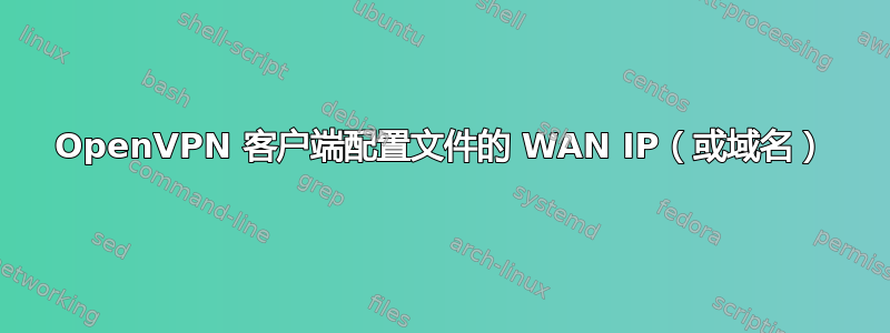 OpenVPN 客户端配置文件的 WAN IP（或域名）