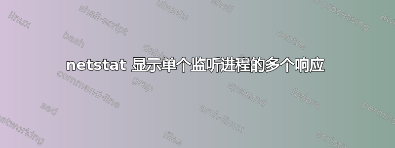 netstat 显示单个监听进程的多个响应