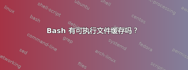 Bash 有可执行文件缓存吗？