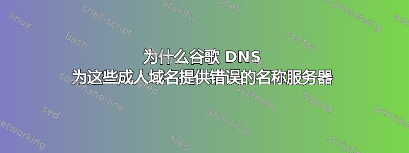 为什么谷歌 DNS 为这些成人域名提供错误的名称服务器