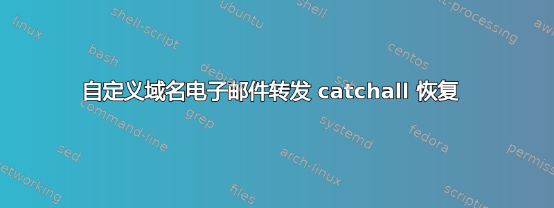 自定义域名电子邮件转发 catchall 恢复 