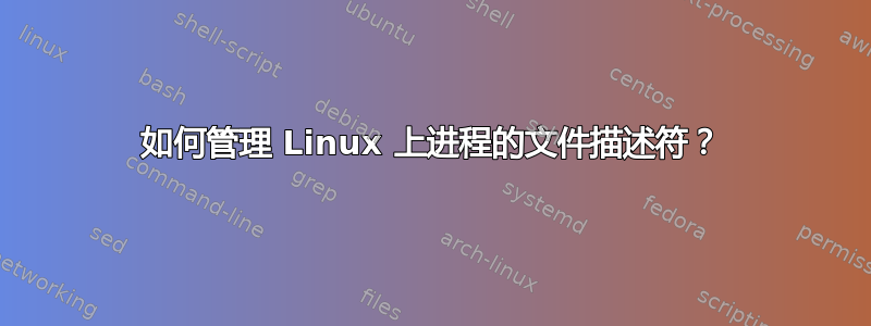 如何管理 Linux 上进程的文件描述符？