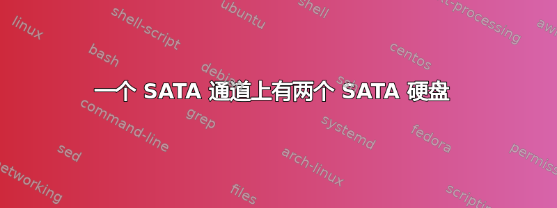 一个 SATA 通道上有两个 SATA 硬盘 