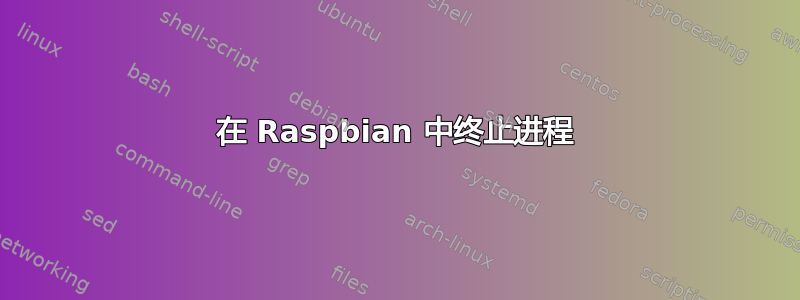 在 Raspbian 中终止进程