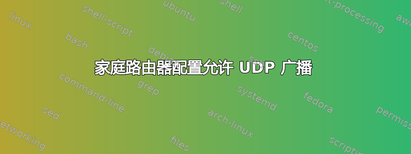 家庭路由器配置允许 UDP 广播