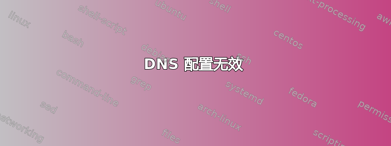 DNS 配置无效