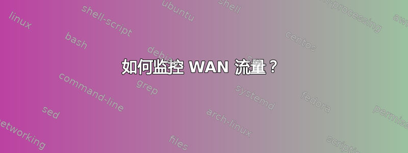 如何监控 WAN 流量？