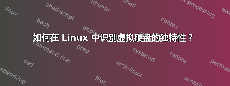 如何在 Linux 中识别虚拟硬盘的独特性？