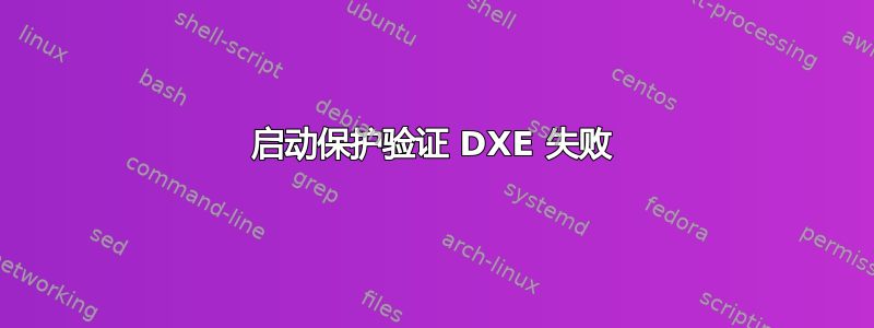 启动保护验证 DXE 失败