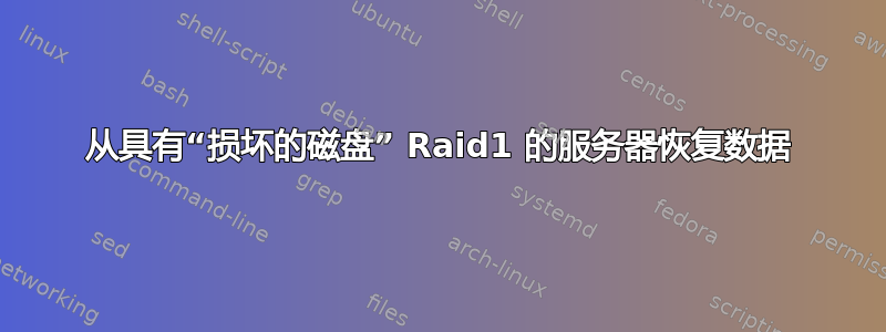 从具有“损坏的磁盘” Raid1 的服务器恢复数据