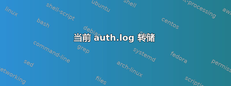 当前 auth.log 转储