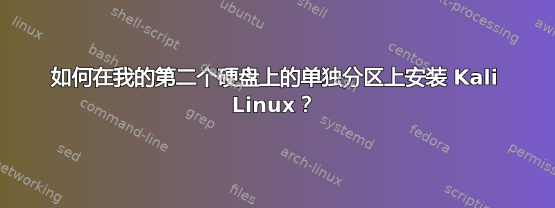 如何在我的第二个硬盘上的单独分区上安装 Kali Linux？