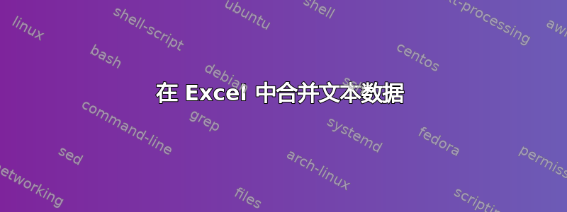 在 Excel 中合并文本数据